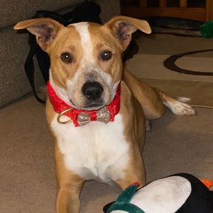 Meet your Posher, Joann